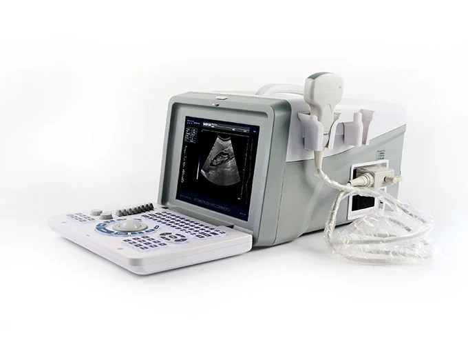 Dolphi® Pro Portable B/W Ultrasound Scanner