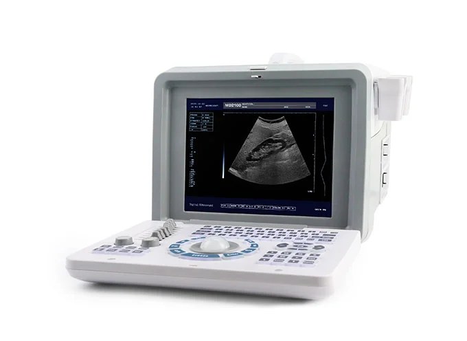 Dolphi® Pro Portable B/W Ultrasound Scanner